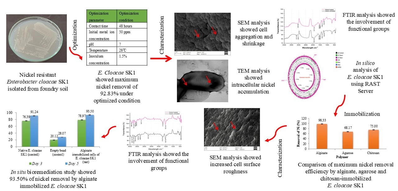 Graphical Abstract