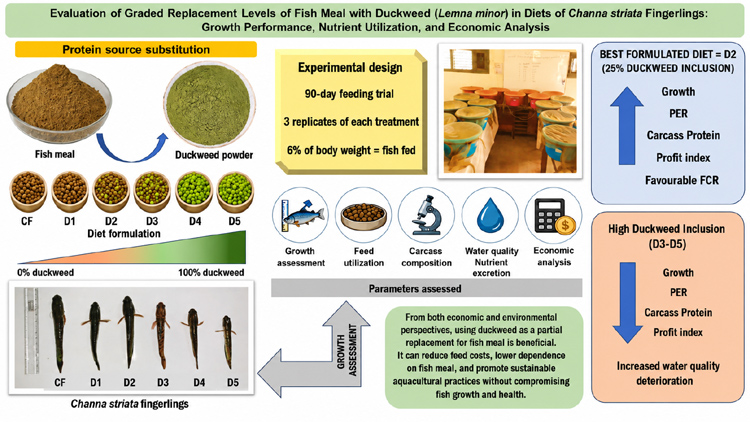 Graphical Abstract