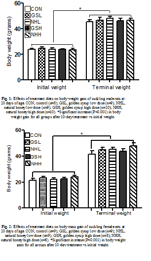 Graphical Abstract