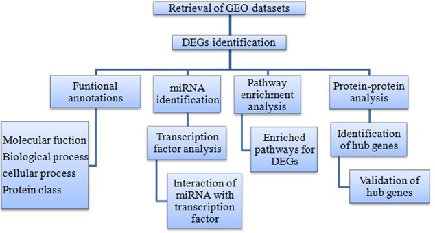 Graphical Abstract