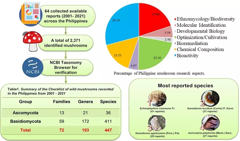 Graphical Abstract